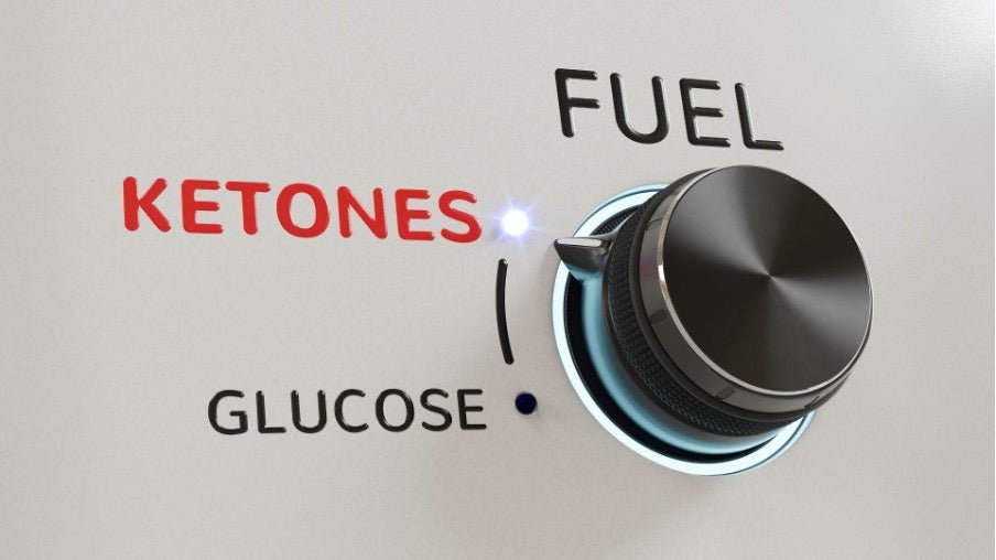 How to Reach Ketosis? - ketolibriyum