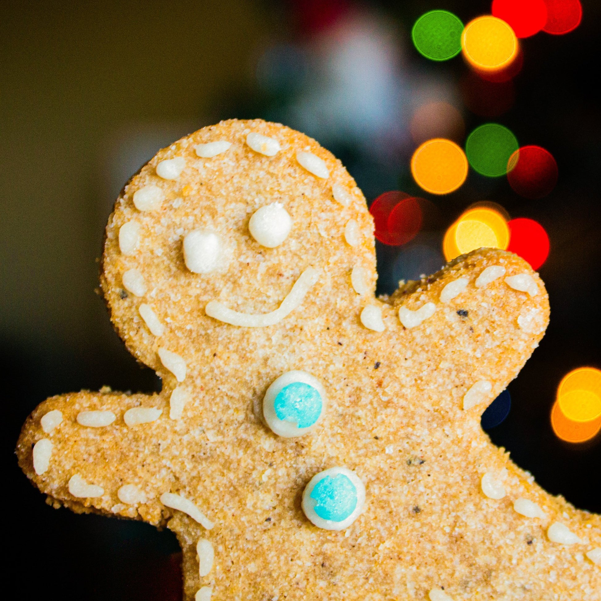 Cookie: Gingerbread Men - ketolibriyum